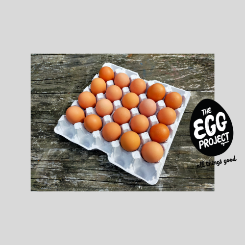 20 Free Range Eggs -  JUMBOS